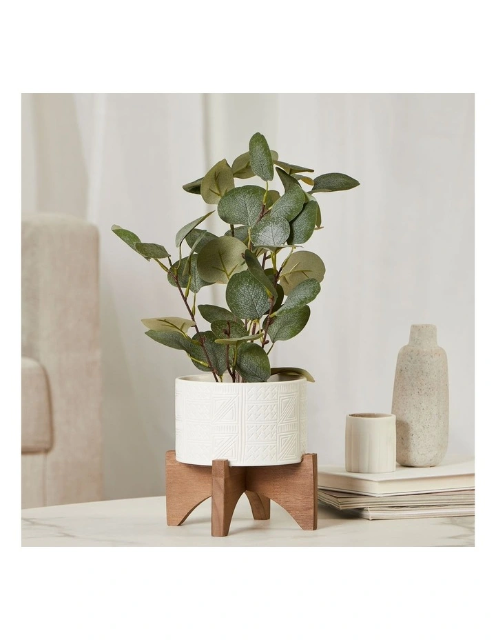 Top 10 β Cooper & Co Artificial Money Plant In Ceramic Pot 40cm In White π - Image 2