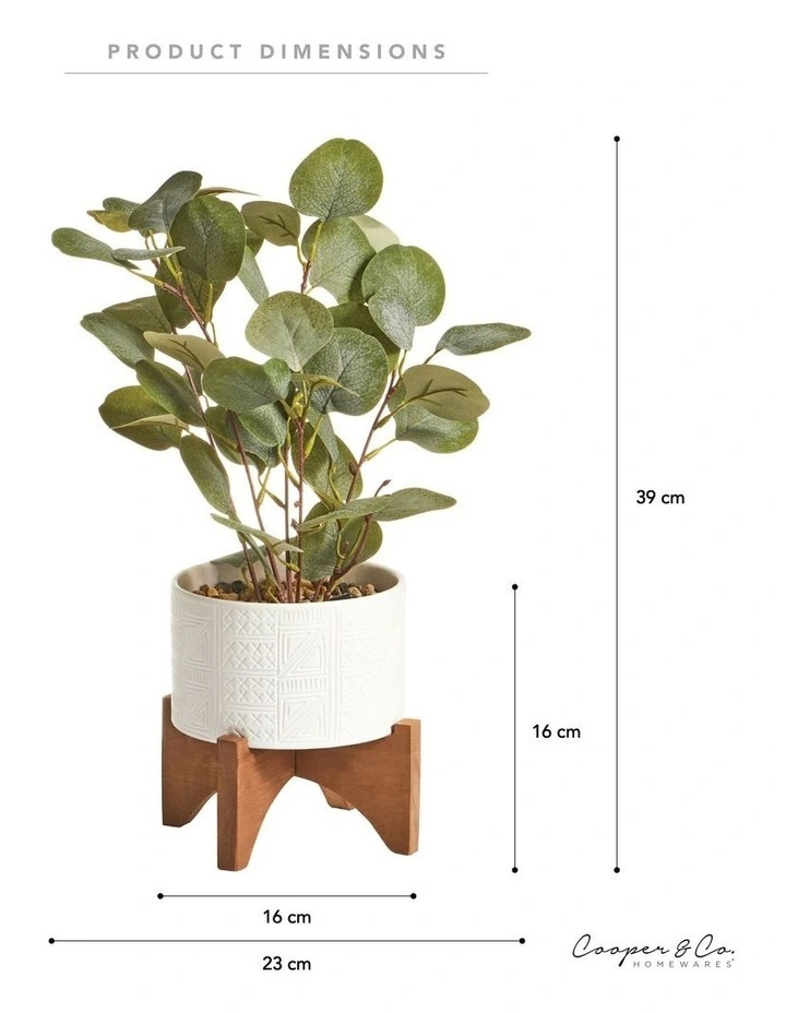 Top 10 β Cooper & Co Artificial Money Plant In Ceramic Pot 40cm In White π - Image 3