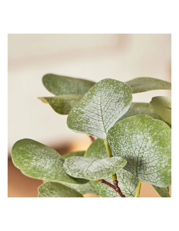 Top 10 β Cooper & Co Artificial Money Plant In Ceramic Pot 40cm In White π - Image 4