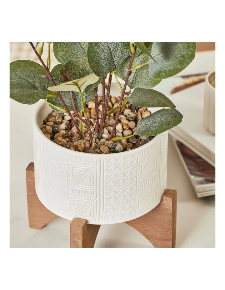 Top 10 β Cooper & Co Artificial Money Plant In Ceramic Pot 40cm In White π - Image 5