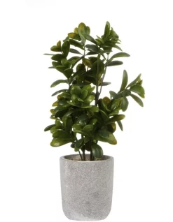 Best deal 🥰 Cooper & Co Sweet Plum Artificial Plant 40cm In Green ⭐