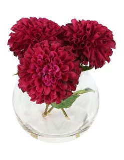 New π Florabelle Dahlia Delight Arrangement In Burgundy π