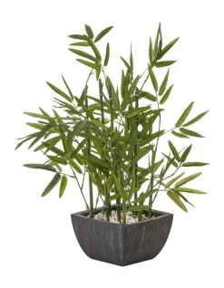 Top 10 👍 Cooper & Co Tall Bamboo Plant 46cm In Green 👍
