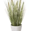 Flash Sale 😀 Cooper & Co Artificial Onion Grass Green Tail 46cm ❤️