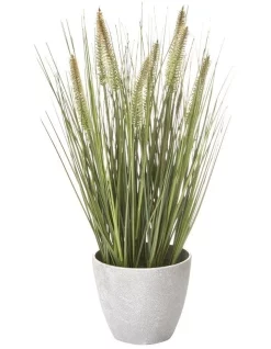 Flash Sale 😀 Cooper & Co Artificial Onion Grass Green Tail 46cm ❤️