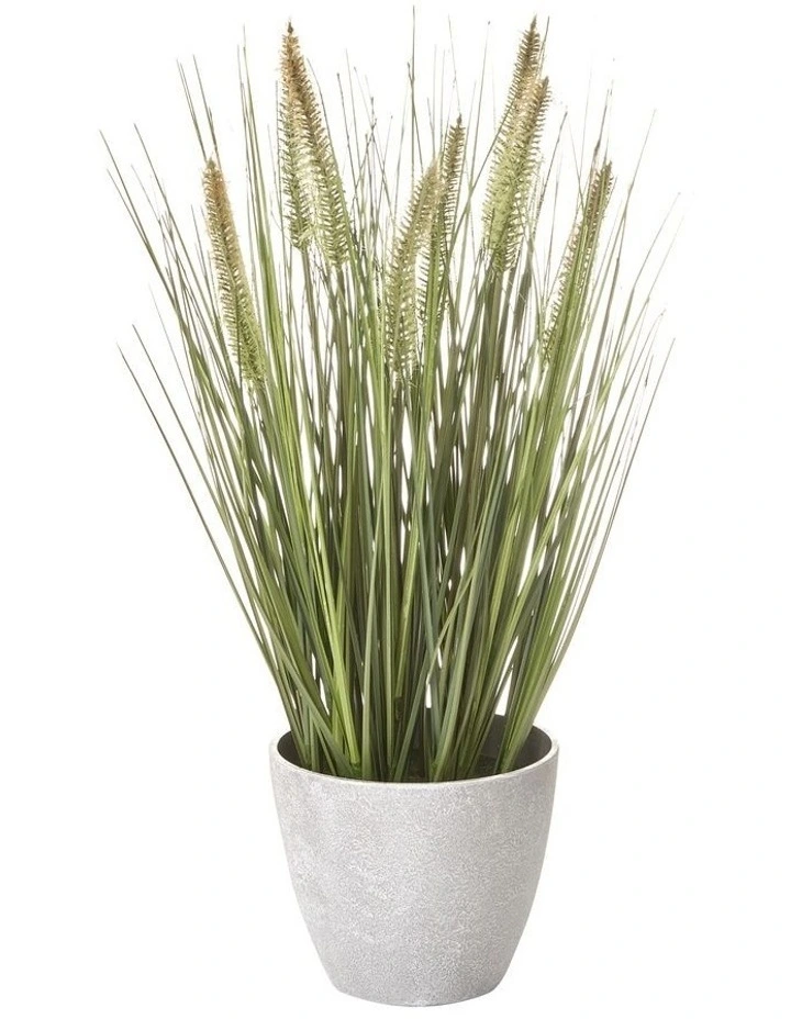 Flash Sale π Cooper & Co Artificial Onion Grass Green Tail 46cm β€οΈ