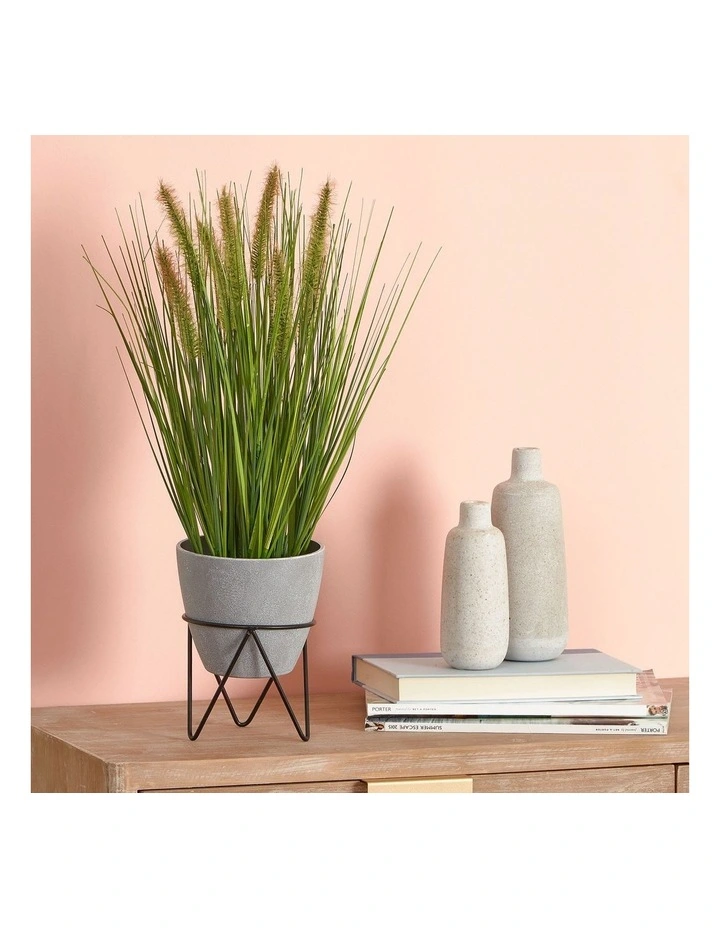 Flash Sale π Cooper & Co Artificial Onion Grass Green Tail 46cm β€οΈ - Image 2