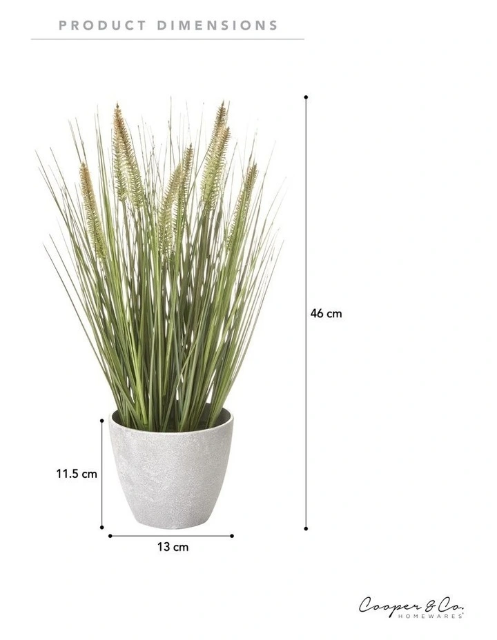 Flash Sale π Cooper & Co Artificial Onion Grass Green Tail 46cm β€οΈ - Image 3