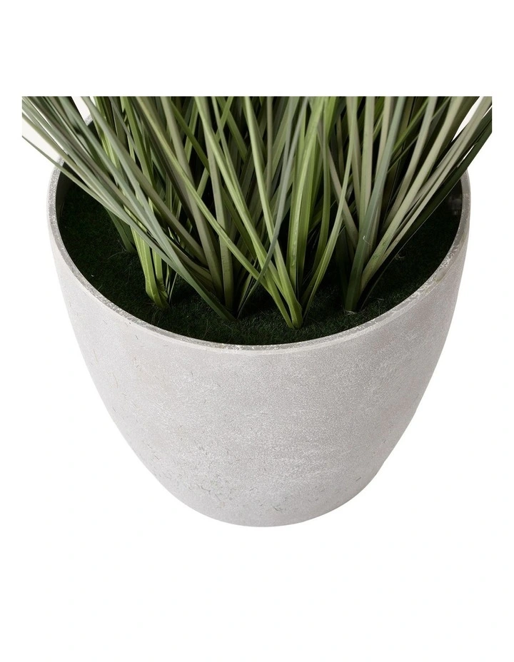 Flash Sale π Cooper & Co Artificial Onion Grass Green Tail 46cm β€οΈ - Image 4