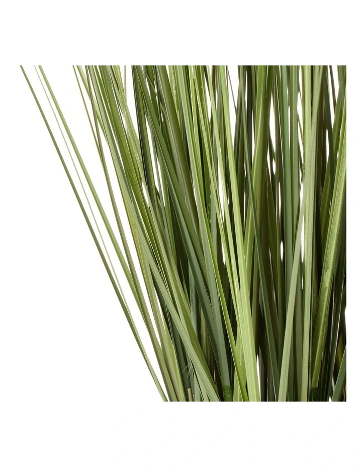 Flash Sale π Cooper & Co Artificial Onion Grass Green Tail 46cm β€οΈ - Image 5