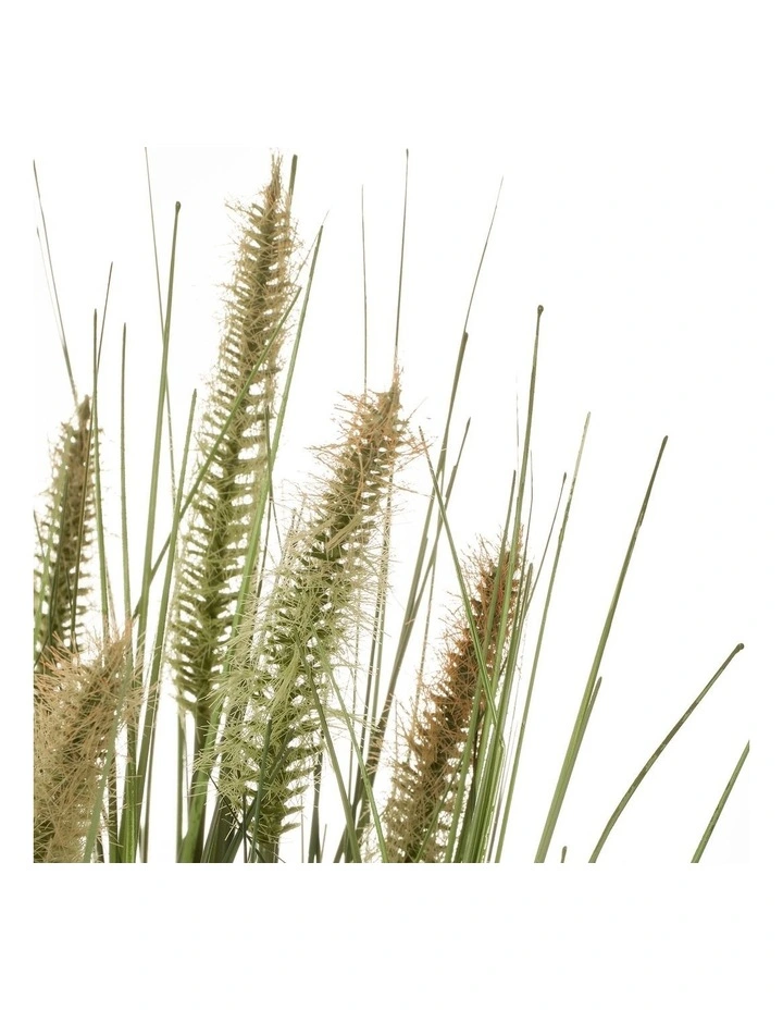 Flash Sale π Cooper & Co Artificial Onion Grass Green Tail 46cm β€οΈ - Image 6