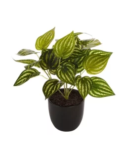 Flash Sale π Cooper & Co Artificial Watermelon On Leaf Plant 24cm In Green π