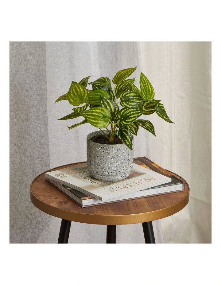 Flash Sale π Cooper & Co Artificial Watermelon On Leaf Plant 24cm In Green π - Image 2