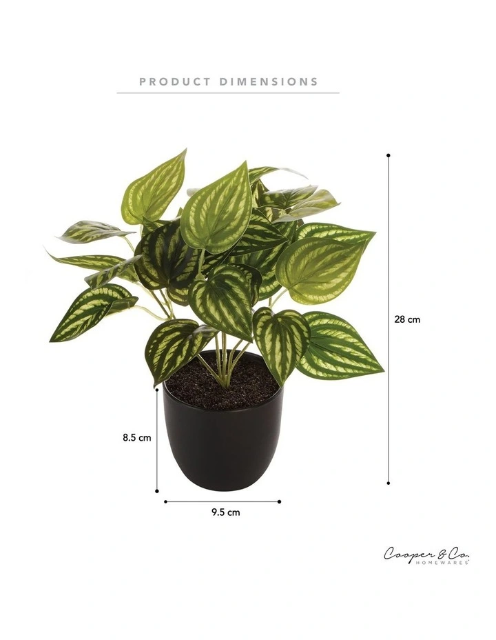 Flash Sale π Cooper & Co Artificial Watermelon On Leaf Plant 24cm In Green π - Image 3