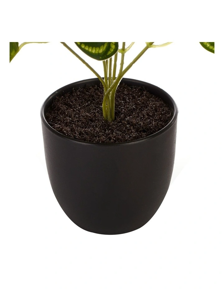 Flash Sale π Cooper & Co Artificial Watermelon On Leaf Plant 24cm In Green π - Image 4