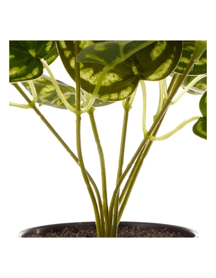 Flash Sale π Cooper & Co Artificial Watermelon On Leaf Plant 24cm In Green π - Image 6