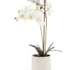 Discount 🔔 Cooper & Co Orchid Potted Artificial Plant 61cm In White 👍