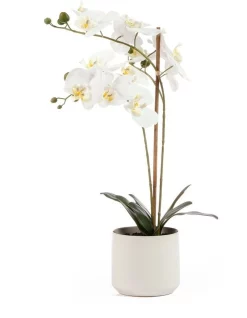 Discount 🔔 Cooper & Co Orchid Potted Artificial Plant 61cm In White 👍