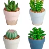 Best reviews of 🤩 Cooper & Co Ritz Artificial Gardens Pots Set Of 4 In Multi 🧨