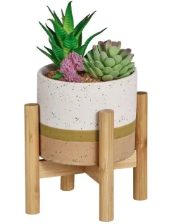 Cheap 🎁 Cooper & Co Parker Artificial Garden Terracotta Pot In White/Natural 🎁