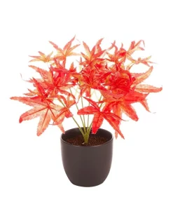 Promo 😍 Cooper & Co Tall Potted Artificial Maple Plant 24cm In Red 😉