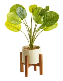 Buy ๐ Cooper & Co Artificial Taro Plant In Ceramic Pot 75cm In Green/White ๐คฉ