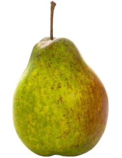 New 😍 Florabelle Pear Single In Green 👏