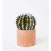 Outlet 🎁 Vue Artificial Cactus In Cement Pot 17.5x12x12cm In Green/Terracotta 🤩
