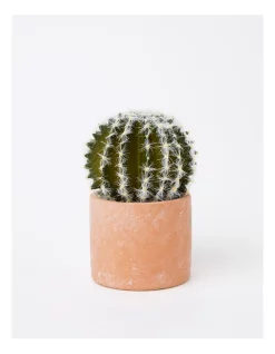 Outlet 🎁 Vue Artificial Cactus In Cement Pot 17.5x12x12cm In Green/Terracotta 🤩
