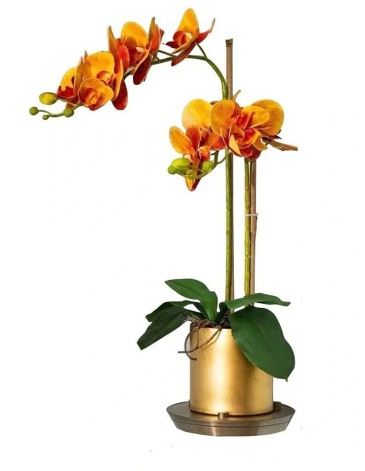 Outlet π Vicky Yao 2 Stems Orange Artificial Phalaenopsis Orchid Arrangement In Matte Golden Pot π₯°