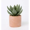 Brand new 🌟 Vue Artificial Cactus In Cement Pot 22x16x16cm In Green/Terracotta ✔️