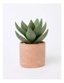 Brand new 🌟 Vue Artificial Cactus In Cement Pot 22x16x16cm In Green/Terracotta ✔️