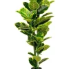 Outlet 🥰 Living Today Rubber Fig Artificial Plant 120cm 🤩