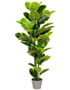 Outlet 🥰 Living Today Rubber Fig Artificial Plant 120cm 🤩