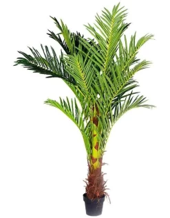 Coupon 💯 Living Today Phoenix Palm Artificial Plant 180cm 💯