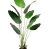 Budget ???? Living Today Bird Of Paradise Artificial Plant 160cm ????