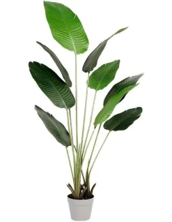 Budget 😍 Living Today Bird Of Paradise Artificial Plant 160cm 😉