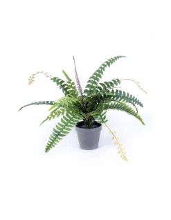 Cheap 🎉 Living Today Fern Potted Faux Plant 👏