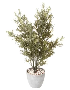 Outlet 🧨 Cooper & Co Rosemary Tree 79cm In Green 🎁
