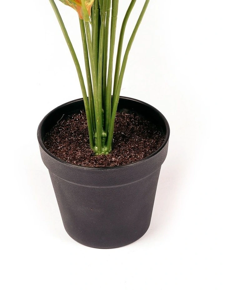 Coupon β€οΈ Cooper & Co Faux Dieffenbachia With Colour Leaf 65cm In Green π - Image 6