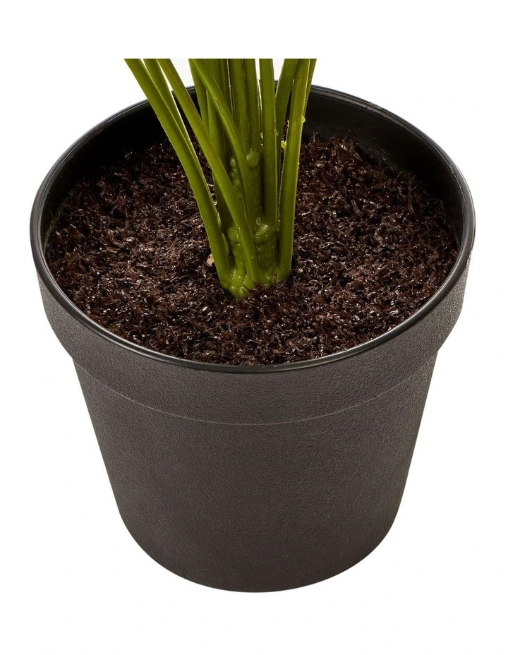 Coupon β€οΈ Cooper & Co Faux Dieffenbachia With Colour Leaf 65cm In Green π - Image 7