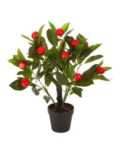 Budget ๐คฉ Cooper & Co Faux Orange Tree 50cm In Orange/Green ๐คฉ