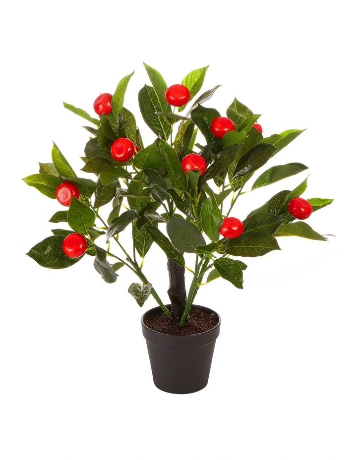 Budget π€© Cooper & Co Faux Orange Tree 50cm In Orange/Green π€©