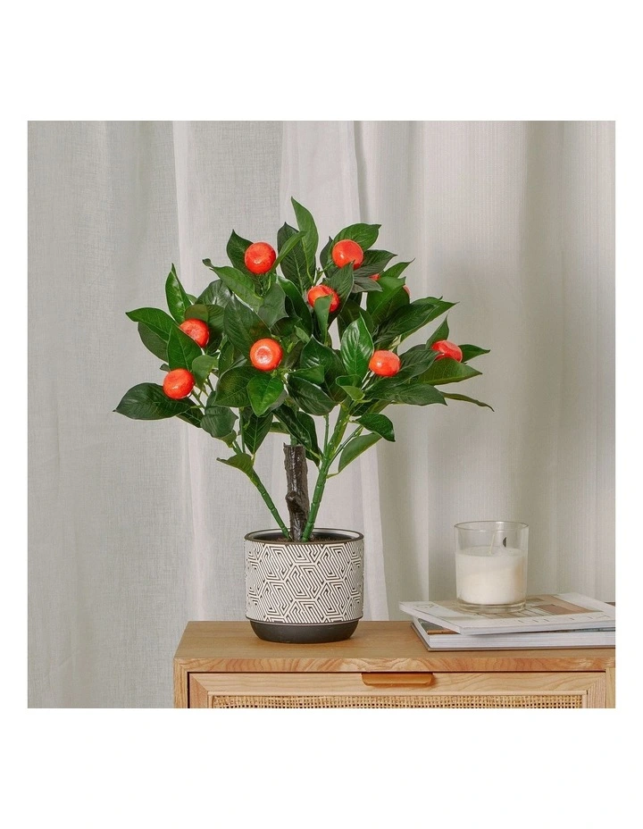 Budget π€© Cooper & Co Faux Orange Tree 50cm In Orange/Green π€© - Image 2