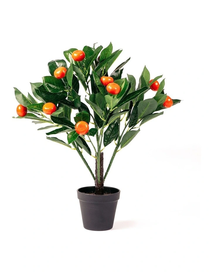 Budget π€© Cooper & Co Faux Orange Tree 50cm In Orange/Green π€© - Image 4