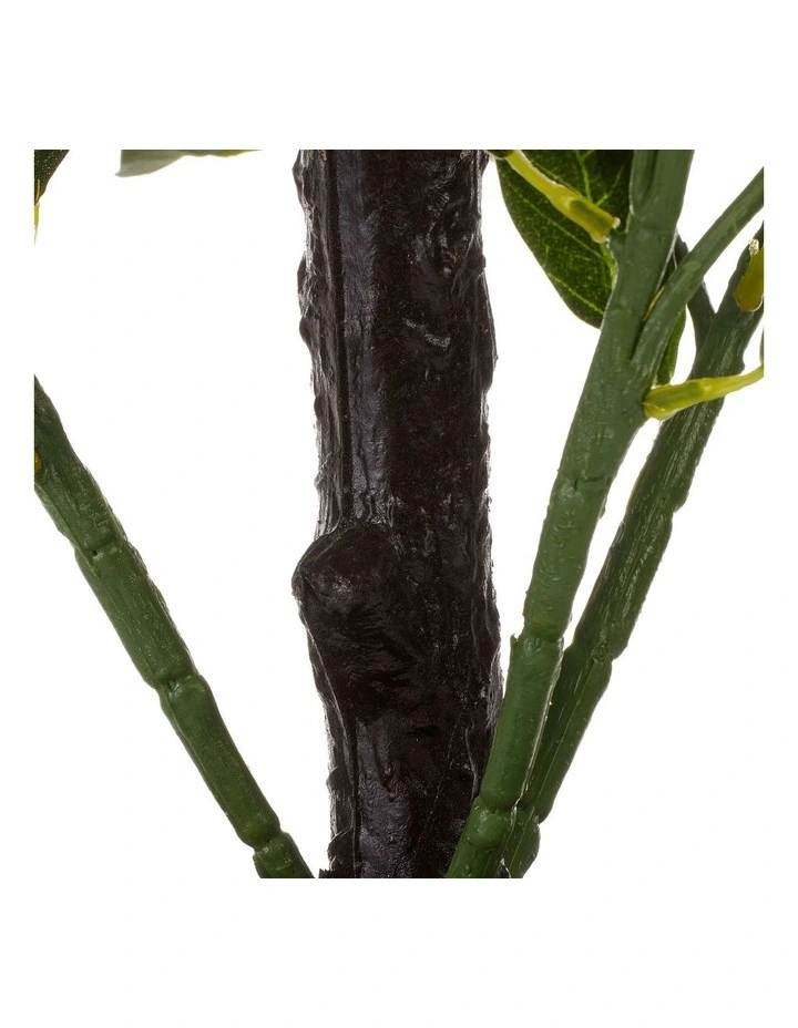 Budget π€© Cooper & Co Faux Orange Tree 50cm In Orange/Green π€© - Image 7