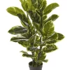 Outlet 🤩 Cooper & Co Artificial Rubber Plant 90cm In Green 🎉