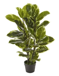 Outlet 🤩 Cooper & Co Artificial Rubber Plant 90cm In Green 🎉