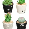 Hot Sale 🎁 Cooper & Co Monnier Artificial Garden Pots Set Of 4 In Multi 🔥