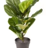 Promo ⭐ Cooper & Co Artificial Fiddle Leaf Faux Plant 50cm In Green 🧨